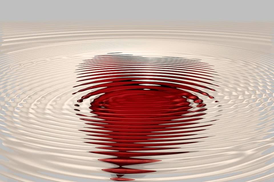 blog immagine